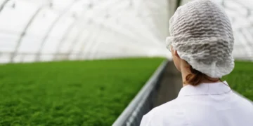Receita da indústria de alimentos cresce 7,2% em 2023