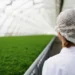 Receita da indústria de alimentos cresce 7,2% em 2023