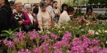 Festa de Flores e Morangos atrai 80 mil visitantes